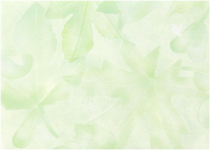 Letter Set green forest color Nokimochi (japan import)