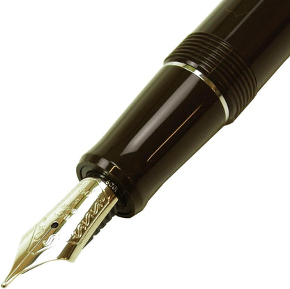PILOT Fountain Pen Custom Heritage 91, M-Nib, Yamaguri Body (FKVH-1MR-YGM), alternate view