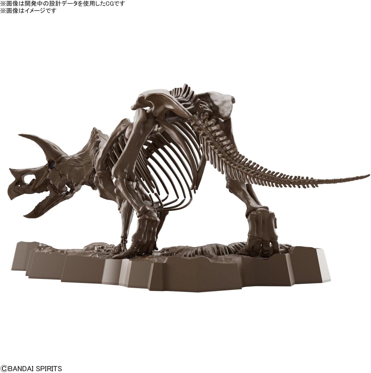 Bandai Hobby - Dinosaur - Triceratops, Bandai Spirits Imaginary Skeleton 1/32 Model Kit