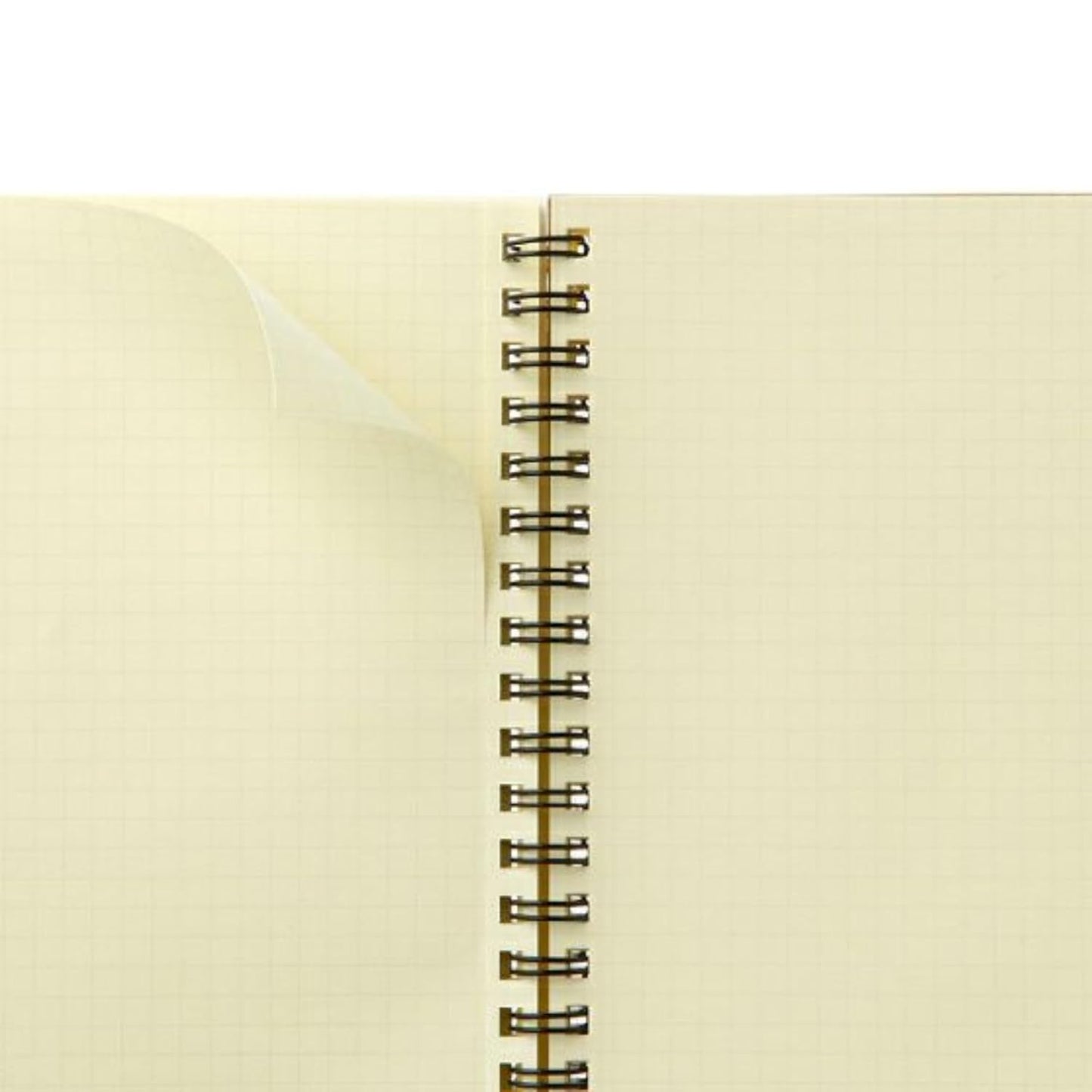 The Delfonics Roruban Pocket memo [Ring/Detach Perforated with] (Horizontal 168 ?� Vertical 216 Thickness 17mm) Metallic A5 Silver NRP16-SV