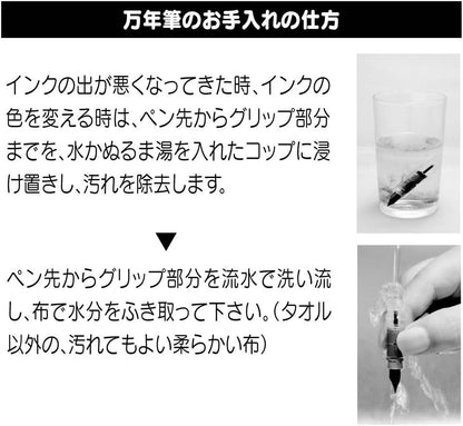 PLATINUM Fountain Pen, Plaisir Fine Nib, Ice White (PGB-1000B-#3-F)