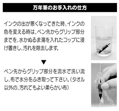 PLATINUM Fountain Pen, Plaisir Fine Nib, Green (PGB-1000-#41-F)