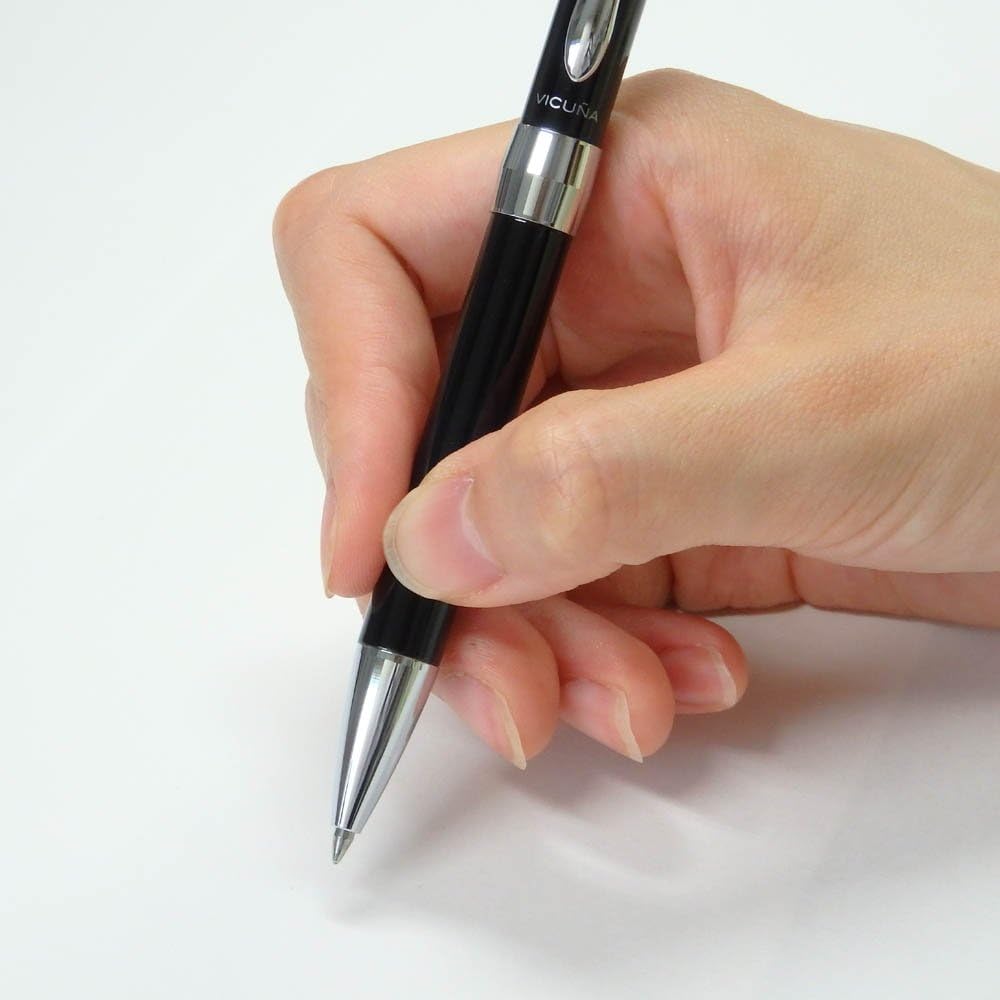 Pentel Oil-Based Ballpoint Pen, Vicuna EX2 BX2007A, Black Barrel