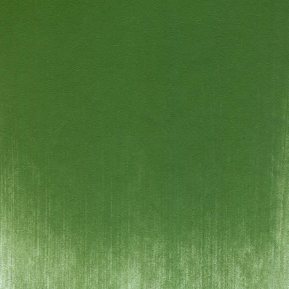 PanPastel Artist Pastels by GOLDEN, Chromium Oxide Green, 2.44??� / 62mm Pan Diameter, Professional Artist Pastels, Unique Pan Format (cake-like)
