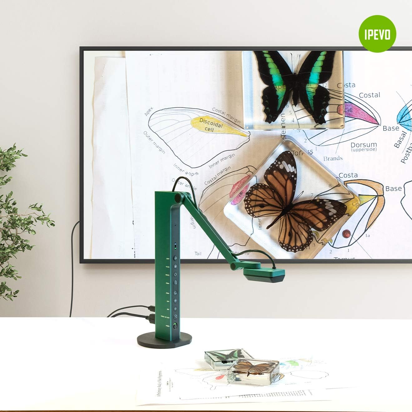 IPEVO VZ-R HDMI/USB Dual Mode 8MP Visual Communication Tool for Real-time Projection, Remote Work, Distance Learning, Web conferencing, Video Recording, Live Demos ??? Works with and Without a Computer