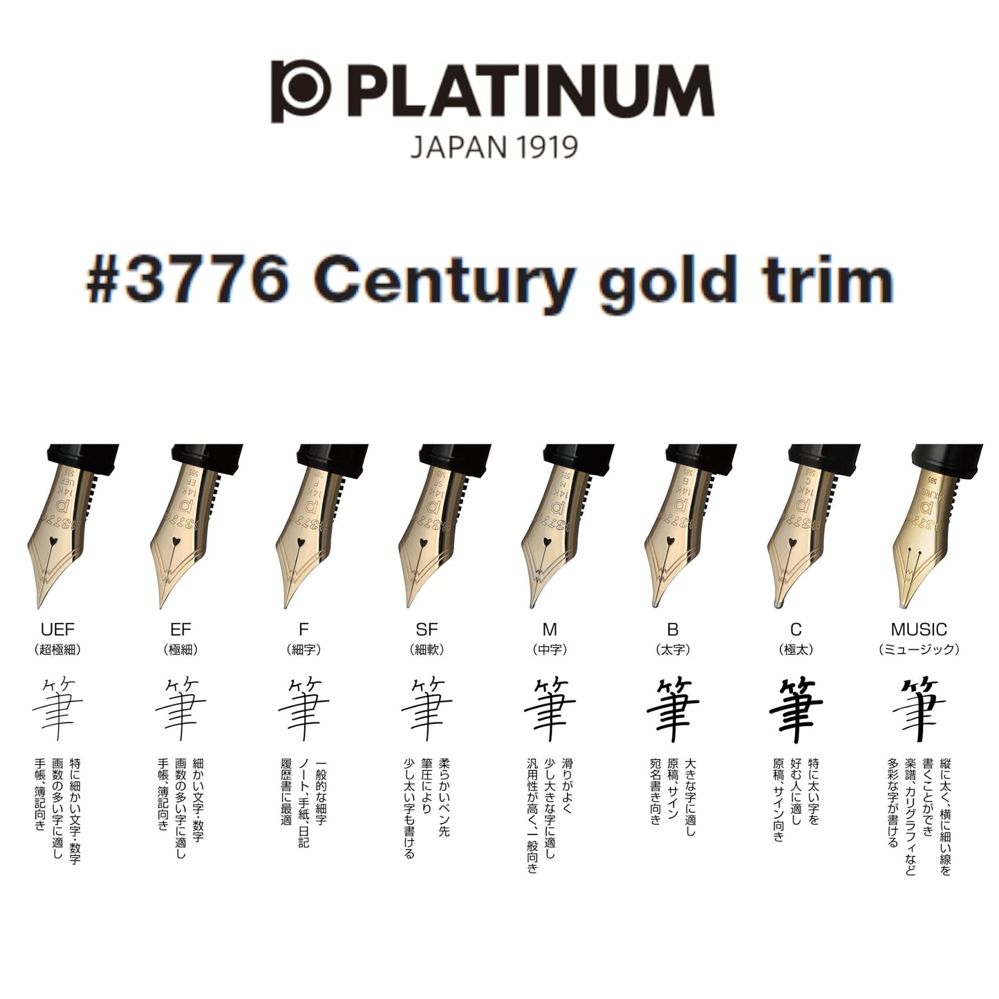 Luxury Fountain Pen for Smooth Writing – Platinum #3776 Century Black in Black Extra Fine Nib Gold Trim (Japan Import, Slip & Seal Technology)