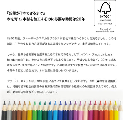 Faber Castell TFC-CP/36C Oil-based Colored Pencils, Flat Can, 36 Color Set