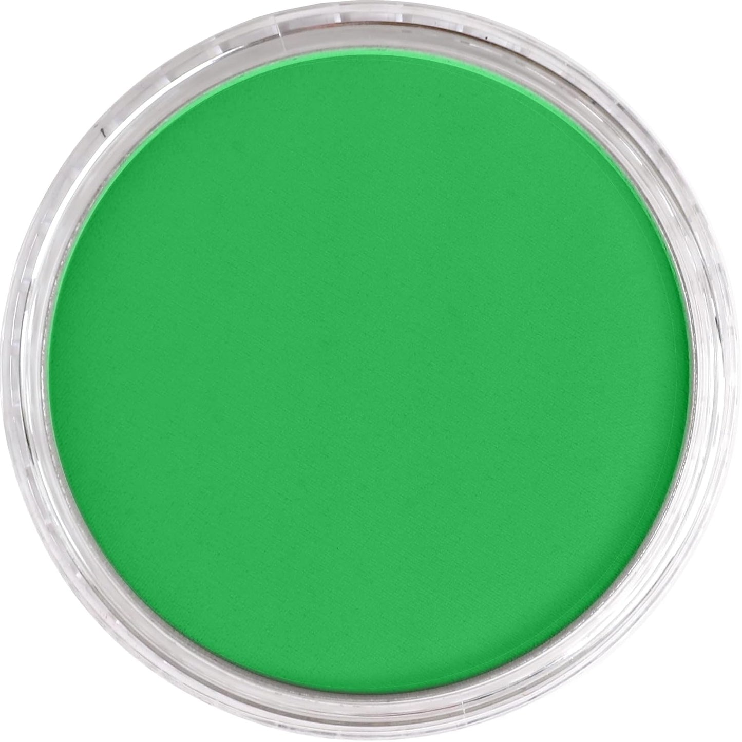 PanPastel Artist Pastels by GOLDEN, Permanent Green, 2.44??� / 62mm Pan Diameter, Professional Artist Pastels, Unique Pan Format (cake-like)