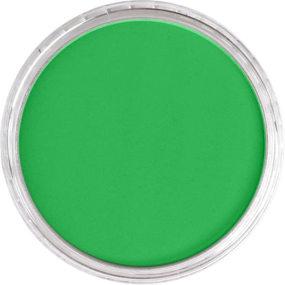 PanPastel Artist Pastels by GOLDEN, Permanent Green, 2.44??� / 62mm Pan Diameter, Professional Artist Pastels, Unique Pan Format (cake-like)