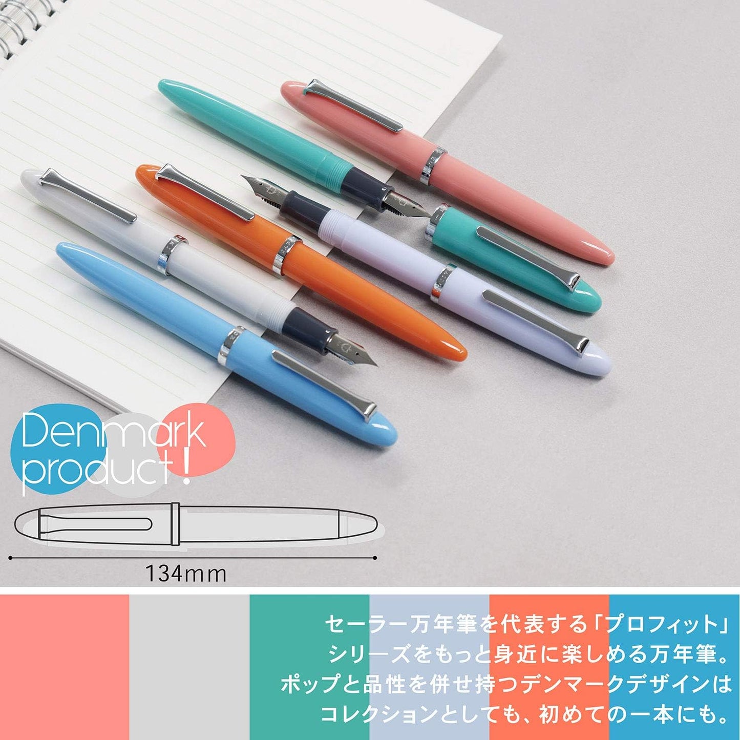 Sailor Fountain Pen, Profit Jr. Light Gray, Medium Fine (12-0222-321) front view
