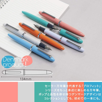 Sailor Fountain Pen, Profit Jr. Light Gray, Medium Fine (12-0222-321) front view