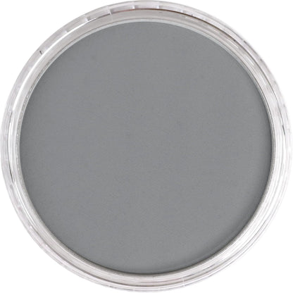 PanPastel Artist Pastels by GOLDEN, Payne's Gray Light, 2.44??� / 62mm Pan Diameter, Professional Artist Pastels, Unique Pan Format (cake-like)