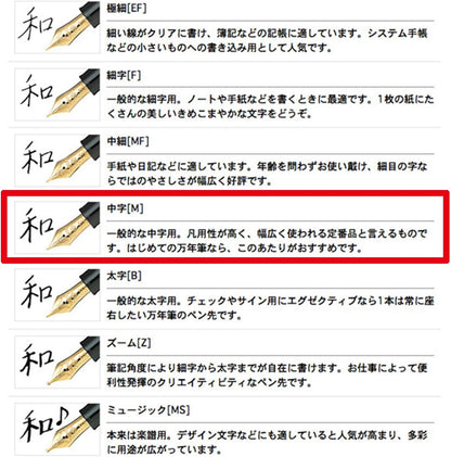 Sailor Fountain Pen Profit 21 M Medium 11-2021-420 Black 11-2021-420 (Japan Import)