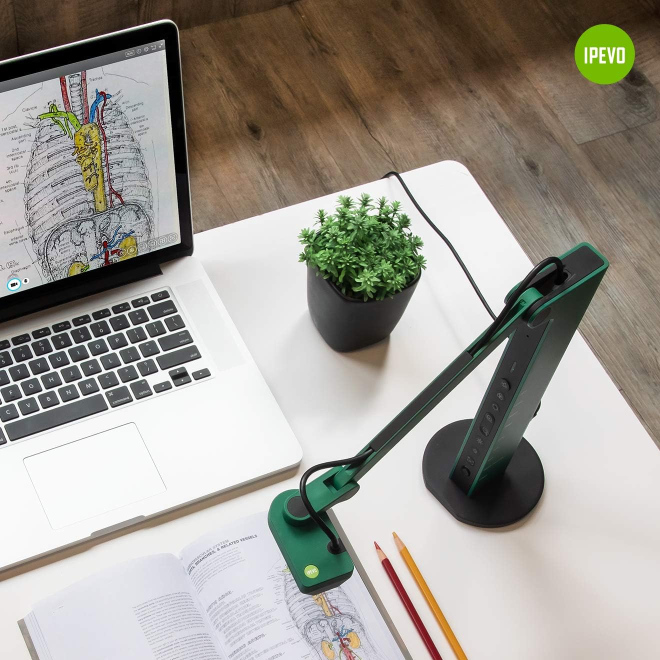 IPEVO VZ-R HDMI/USB Dual Mode 8MP Visual Communication Tool for Real-time Projection, Remote Work, Distance Learning, Web conferencing, Video Recording, Live Demos ??? Works with and Without a Computer