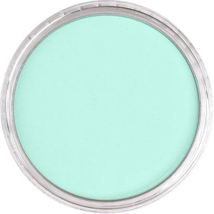 PanPastel Artist Pastels by GOLDEN, Phthalo Green Tint, 2.44??� / 62mm Pan Diameter, Professional Artist Pastels, Unique Pan Format (cake-like)