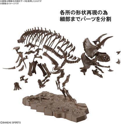 Bandai Hobby - Dinosaur - Triceratops, Bandai Spirits Imaginary Skeleton 1/32 Model Kit