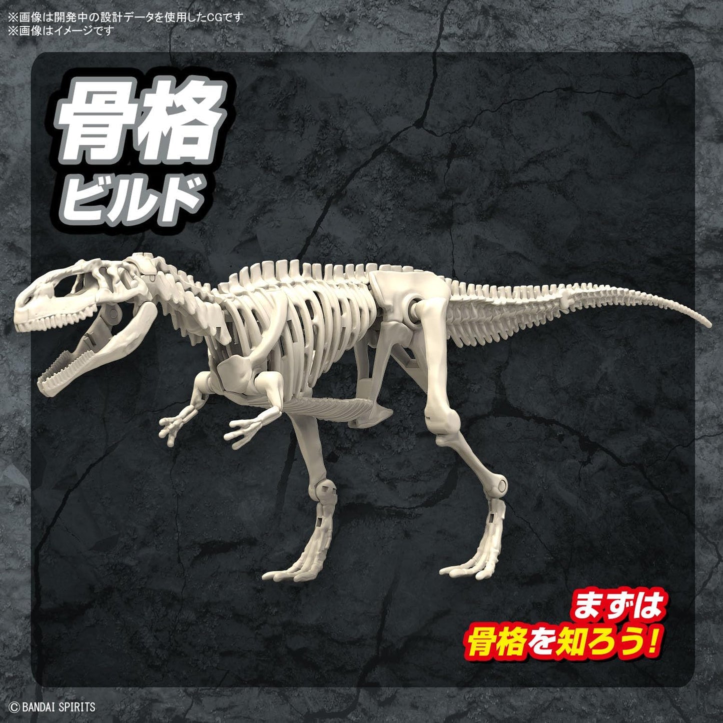 Bandai Hobby - Plannosaurus - #08 Giganotosaurus, Bandai Spirits Dinosaur Model Kit