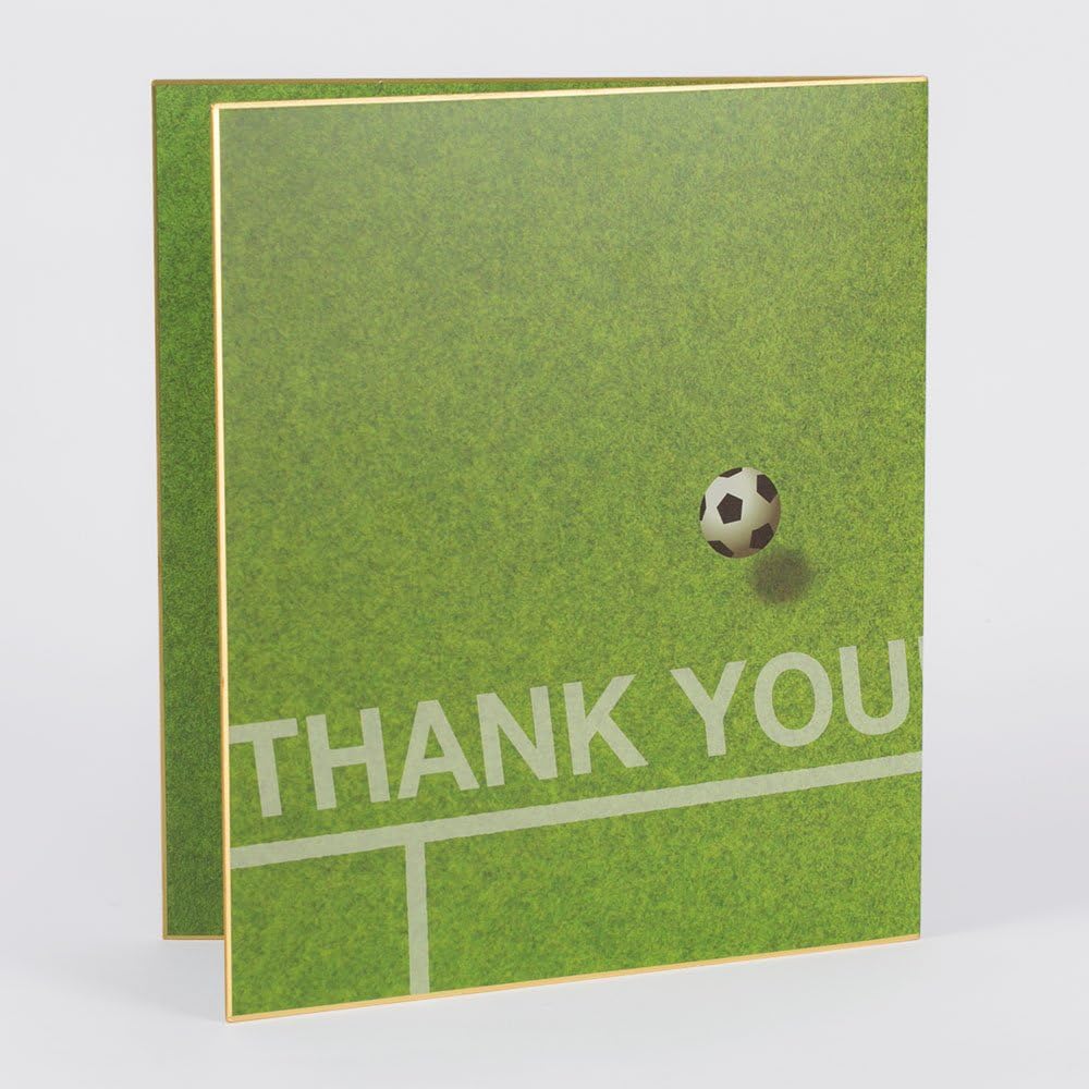 Midori 33167006 Colored Paper, Bi-Fold, Colored Paper, Soccer Field Pattern