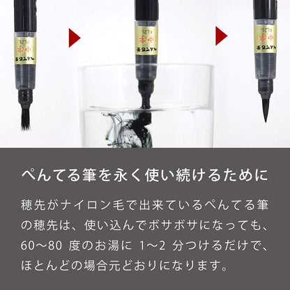Pentel Brush Pen Pentel XFP5M Medium Point Black