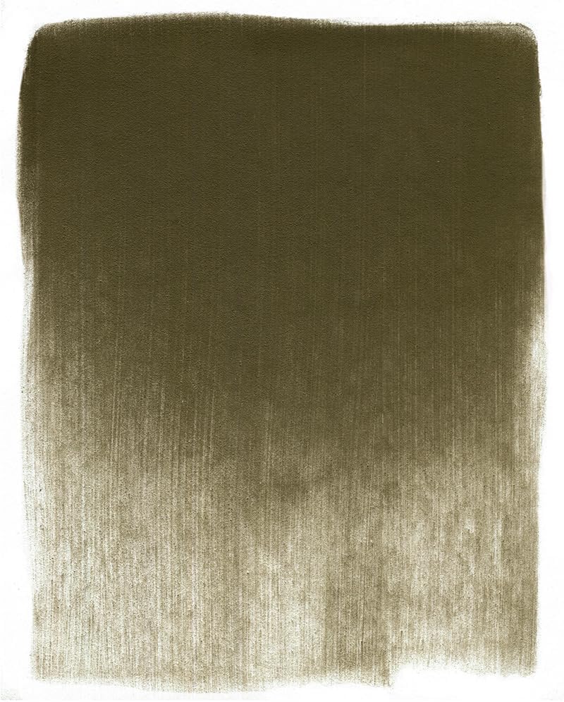 PanPastel Artist Pastels by GOLDEN, Raw Umber, 2.44??� / 62mm Pan Diameter, Professional Artist Pastels, Unique Pan Format (cake-like)