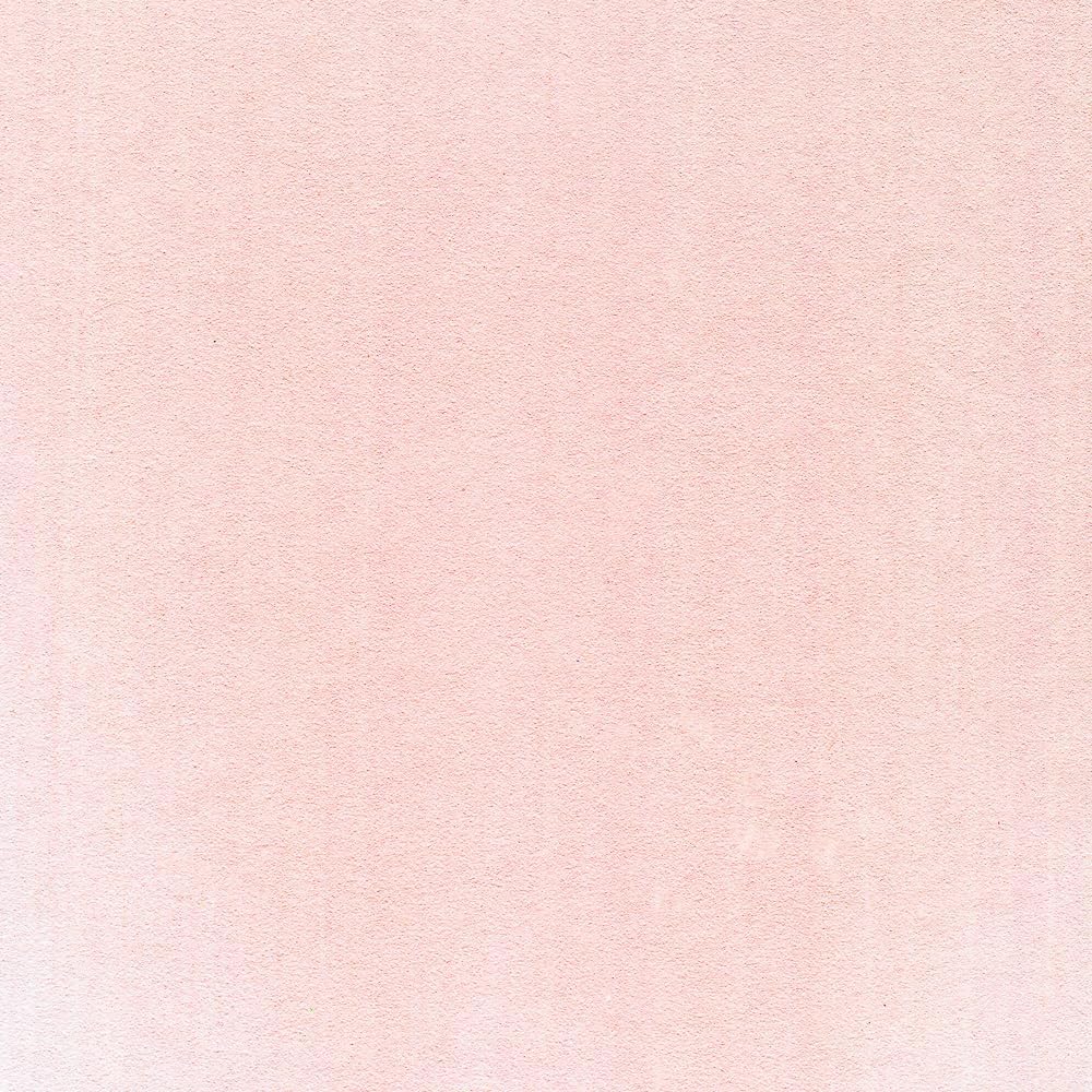 PanPastel Artist Pastels by GOLDEN, Permanent Red Tint, 2.44??� / 62mm Pan Diameter, Professional Artist Pastels, Unique Pan Format (cake-like)