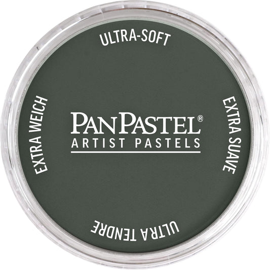 PanPastel Artist Pastels by GOLDEN, Neutral Gray Extra Dark 2, 2.44‰۝ / 62mm Pan Diameter, Professional Artist Pastels, Unique Pan Format (cake-like)