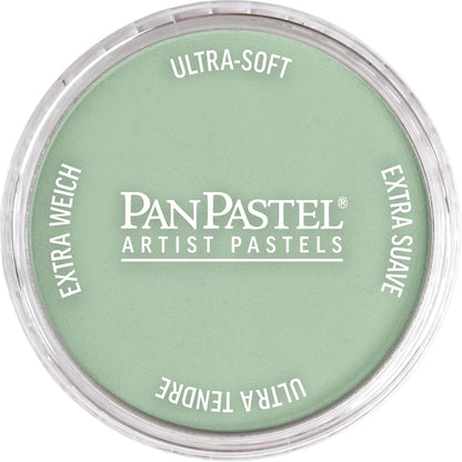 PanPastel Artist Pastels by GOLDEN, Chromium Oxide Green Tint, 2.44??� / 62mm Pan Diameter, Professional Artist Pastels, Unique Pan Format (cake-like)