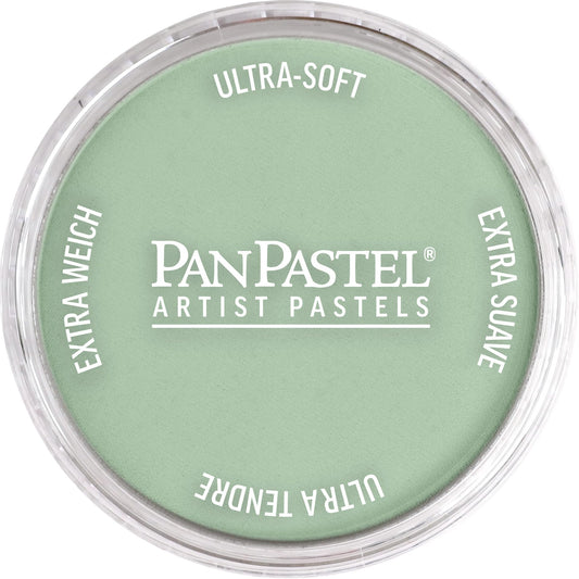 PanPastel Artist Pastels by GOLDEN, Chromium Oxide Green Tint, 2.44‰۝ / 62mm Pan Diameter, Professional Artist Pastels, Unique Pan Format (cake-like)