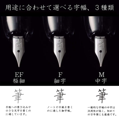 PLATINUM Fountain Pen, Curidus, Prism Crystal, Medium Point, PKN-7000#6-3 close up nib