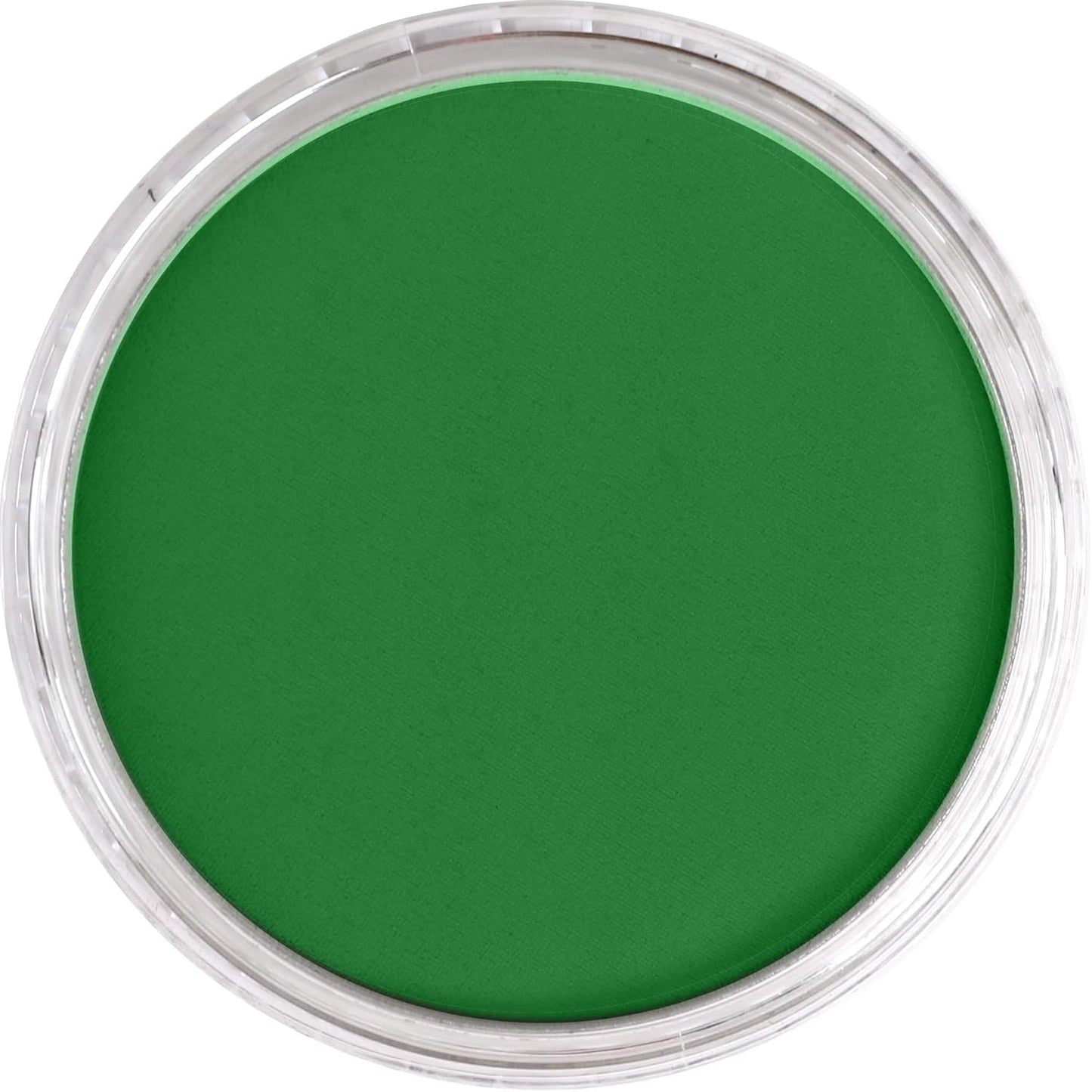 PanPastel Artist Pastels by GOLDEN, Permanent Green Shade, 2.44??� / 62mm Pan Diameter, Professional Artist Pastels, Unique Pan Format (cake-like)