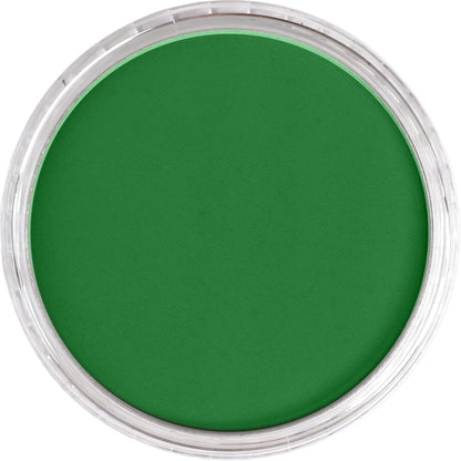 PanPastel Artist Pastels by GOLDEN, Permanent Green Shade, 2.44??� / 62mm Pan Diameter, Professional Artist Pastels, Unique Pan Format (cake-like)