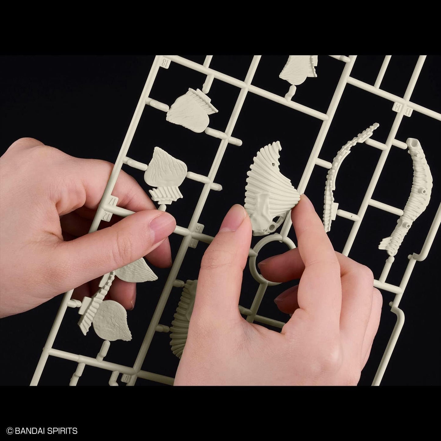 Bandai Hobby - Plannosaurus - #03 Stegosaurus, Bandai Spirits Dinosaur Model Kit