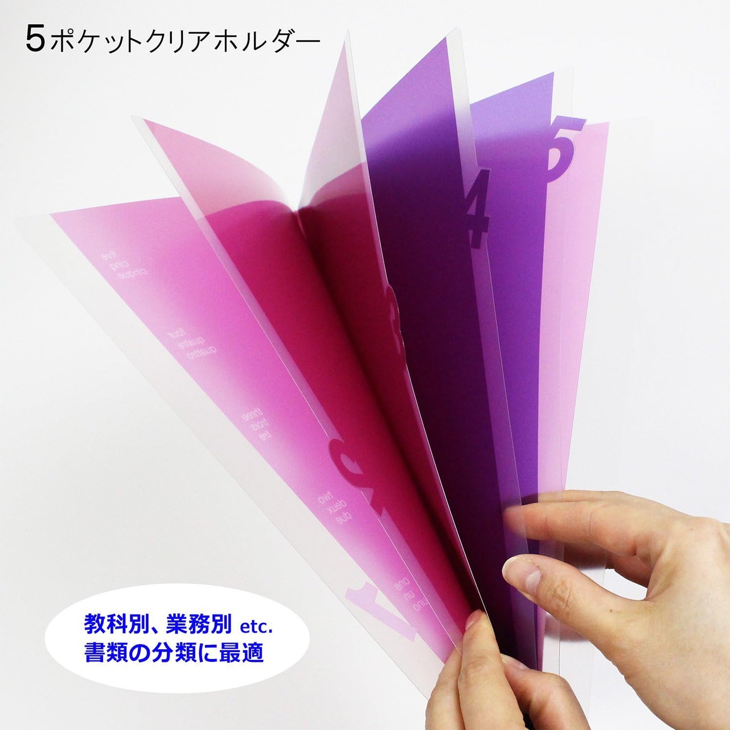 Midori 35101006 Clear File 5 Pocket Clear Holder, A4, Die Cut, Number Pattern, Pink