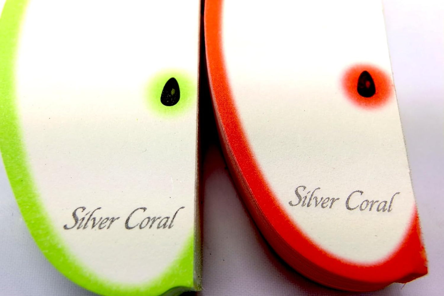 SilverCoral fruit notepad (assorted 10 species)