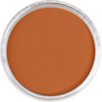 PanPastel Artist Pastels by GOLDEN, Burnt Sienna, 2.44??� / 62mm Pan Diameter, Professional Artist Pastels, Unique Pan Format (cake-like)