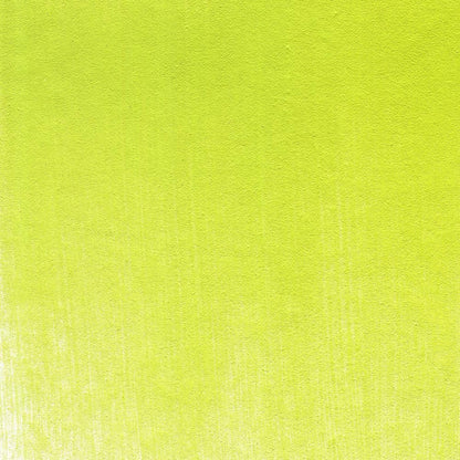 PanPastel Artist Pastels by GOLDEN, Bright Yellow Green, 2.44??� / 62mm Pan Diameter, Professional Artist Pastels, Unique Pan Format (cake-like)