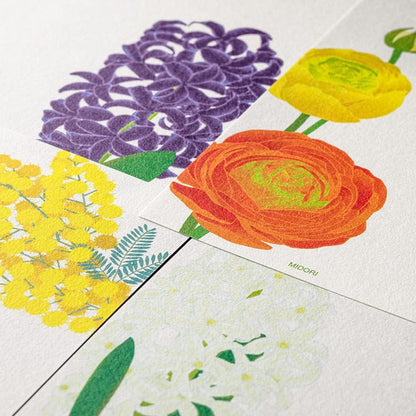 Midori S2 89545006 Single Calligraphy Paper Series, Spring Letter, 4 Patterns, Spring Floral Pattern (89544006)
