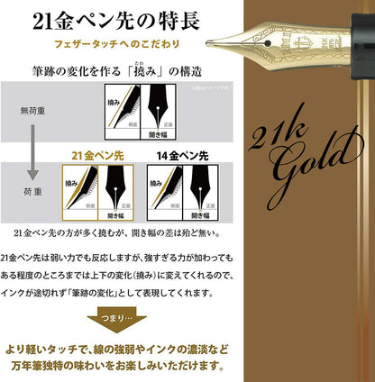 Sailor Profit Standard 21 Fountain Pen Medium Nib Black 11-1521-420 front view