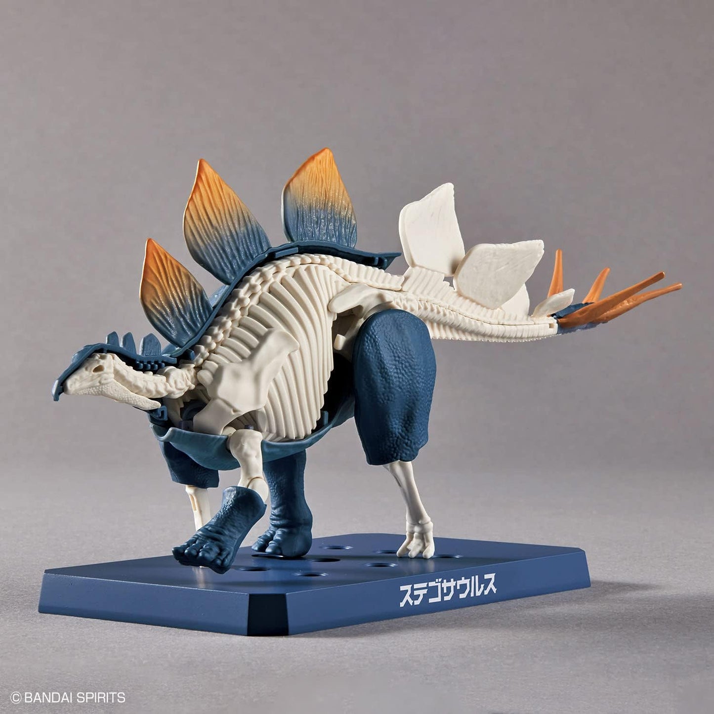 Bandai Hobby - Plannosaurus - #03 Stegosaurus, Bandai Spirits Dinosaur Model Kit