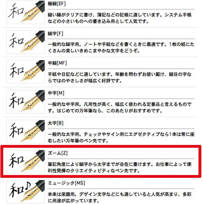 Sailor Pen Fountain Pen Profit 21 Zoom 11-2021-720 Black