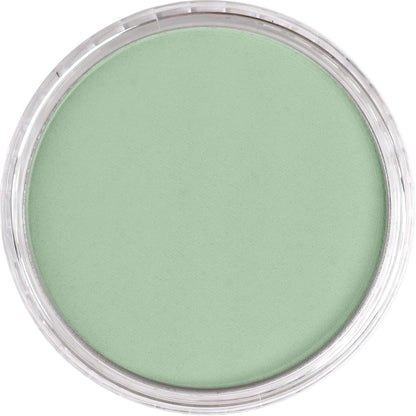 PanPastel Artist Pastels by GOLDEN, Chromium Oxide Green Tint, 2.44??� / 62mm Pan Diameter, Professional Artist Pastels, Unique Pan Format (cake-like)