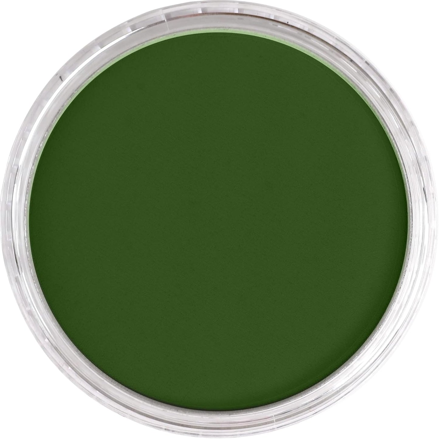 PanPastel Artist Pastels by GOLDEN, Chromium Oxide Green, 2.44??� / 62mm Pan Diameter, Professional Artist Pastels, Unique Pan Format (cake-like)