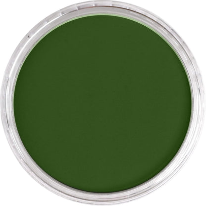 PanPastel Artist Pastels by GOLDEN, Chromium Oxide Green, 2.44??� / 62mm Pan Diameter, Professional Artist Pastels, Unique Pan Format (cake-like)