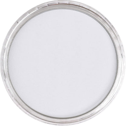 PanPastel Artist Pastels by GOLDEN, Payne's Gray Tint, 2.44??� / 62mm Pan Diameter, Professional Artist Pastels, Unique Pan Format (cake-like)