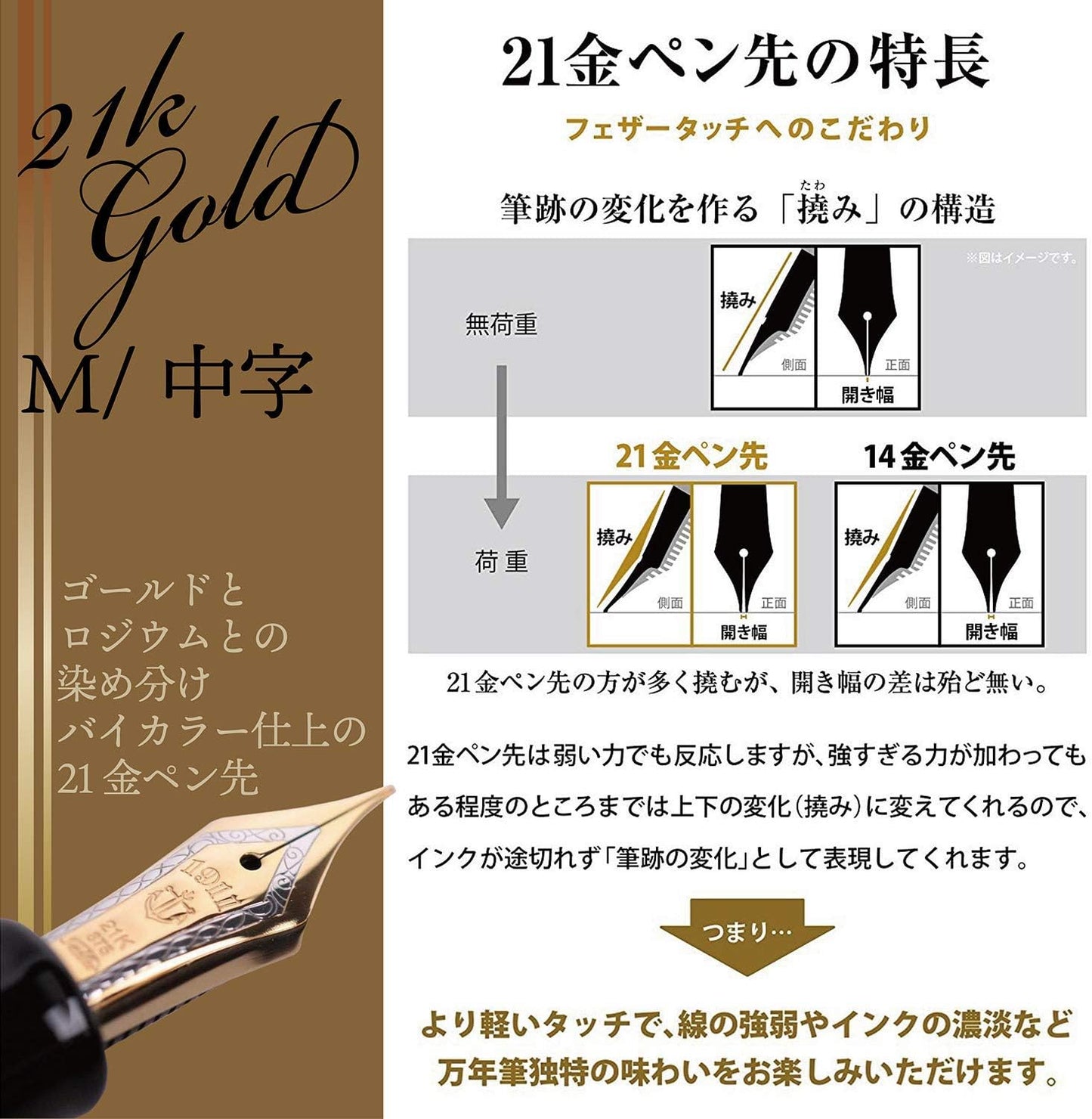Sailor Fountain Pen Professional Gear Gold 112036420 Middle Point front view