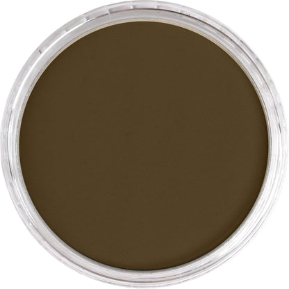 PanPastel Artist Pastels by GOLDEN, Raw Umber, 2.44??� / 62mm Pan Diameter, Professional Artist Pastels, Unique Pan Format (cake-like)