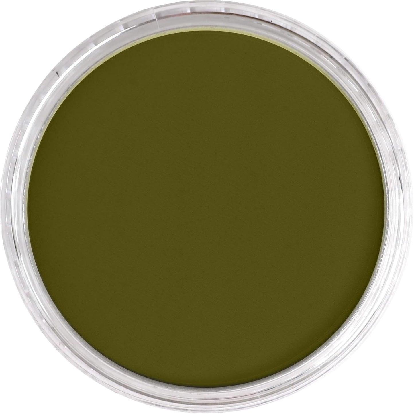 PanPastel Artist Pastels by GOLDEN, Bright Yellow Green Extra Dark, 2.44??� / 62mm Pan Diameter, Professional Artist Pastels, Unique Pan Format (cake-like)