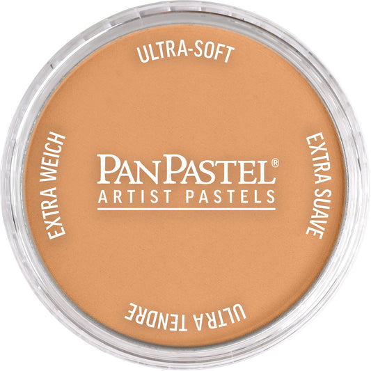 PanPastel Artist Pastels by GOLDEN, Bronze, 2.44‰۝ / 62mm Pan Diameter, Professional Artist Pastels, Unique Pan Format (cake-like)