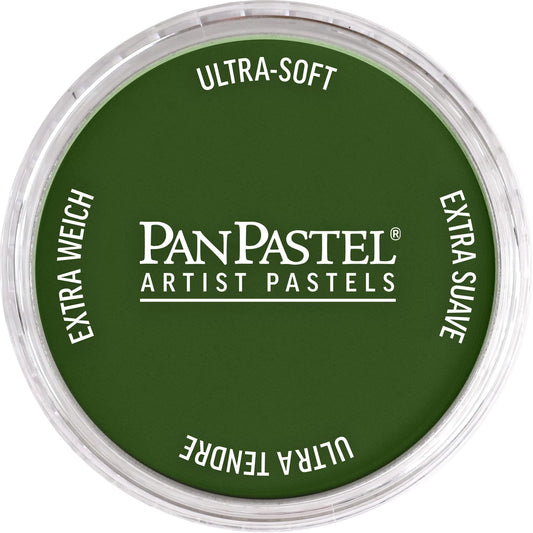 PanPastel Artist Pastels by GOLDEN, Chromium Oxide Green, 2.44‰۝ / 62mm Pan Diameter, Professional Artist Pastels, Unique Pan Format (cake-like)