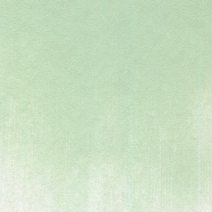 PanPastel Artist Pastels by GOLDEN, Chromium Oxide Green Tint, 2.44??� / 62mm Pan Diameter, Professional Artist Pastels, Unique Pan Format (cake-like)